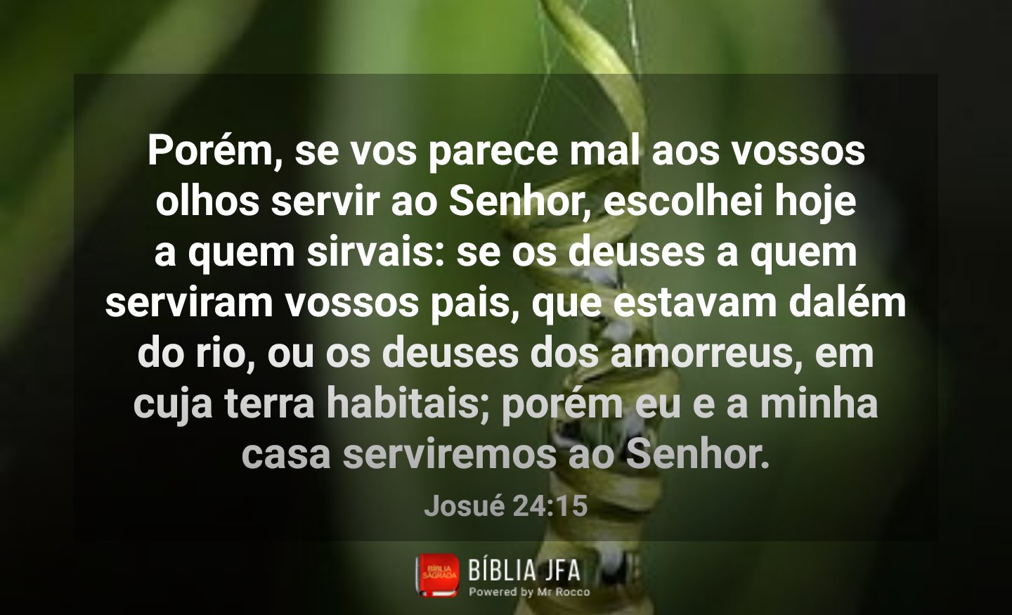 → Daí eu vos trouxe à terra dos amorreus, que habitavam dalém do Jordão, os  quais pelejaram contra vós outros; porém os entreguei nas vossas mãos, e  possuístes a sua terra; e