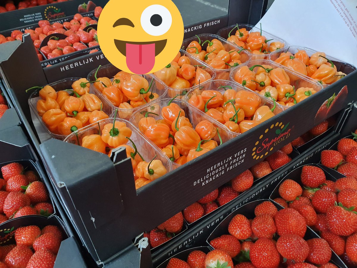 Morgen voor de klok, Natuurlijk hollandse zoete #Aardbeien maar ook een pittige verrassing vanuit Brabant #VeilingZaltbommel