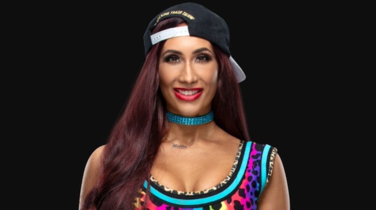 Is it just me or do these 2 look like twins? #WWE #TotalDivas #MAFS <a href="/CarmellaWWE/">Mella Is Money 🤑</a> @BellaTwins <a href="/jamienotis/">Jamie Otis</a>