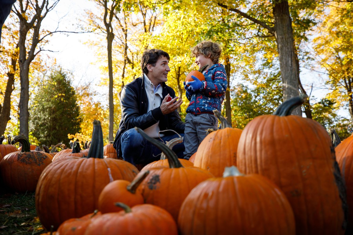 JustinTrudeau's tweet photo. Picking the perfect pumpkin is serious business. https://t.co/eg3Kdd0k2m