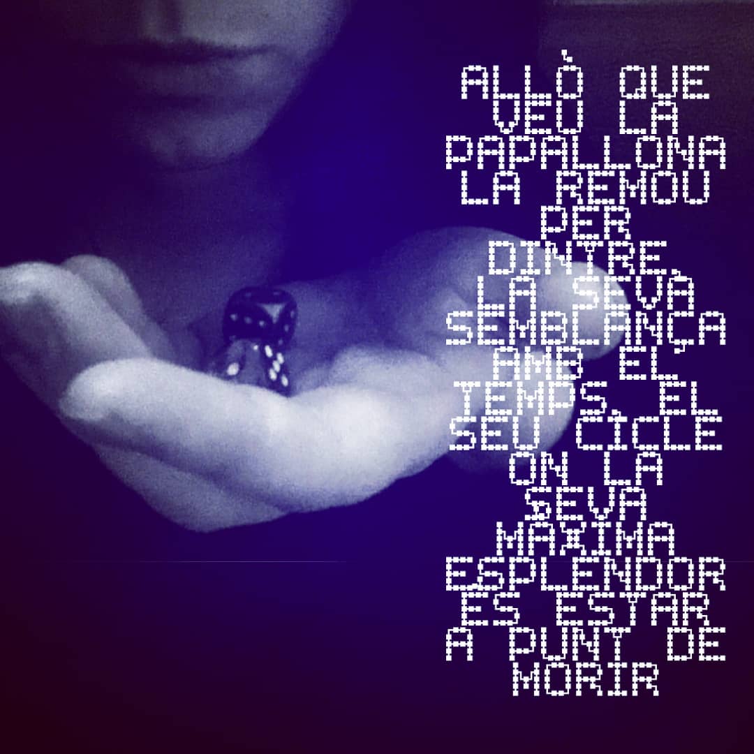 PoetrySpamRev_'s tweet photo. A l'article #lavisiódunpoema @_angelsmoreno aconsegueix fer una radiografia d'això que passa quan hom escriu poesia. L'experiència de la poeta permet evidenciar amb un discurs poètic-filosòfic el que "passa" quan el poema "passa"
#àngelsmoreno #PrimerSpam #ArticleSpam #poesia https://t.co/TBe53K9eak