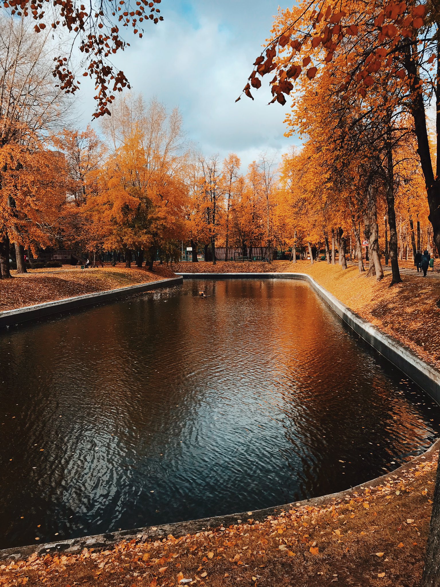 Дождливая осень в Москве