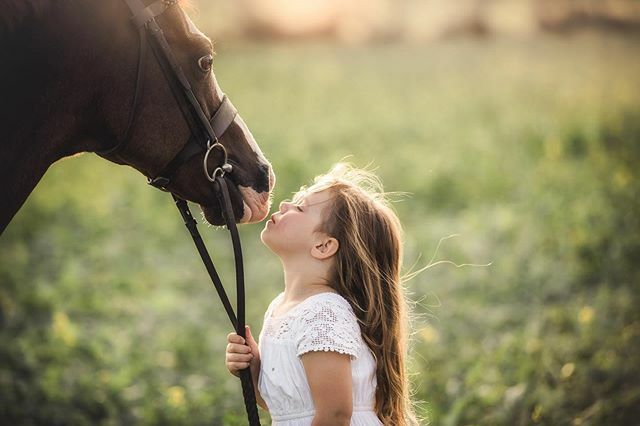 HBImages's tweet photo. "All horses deserve, at least once in their lives, to be loved by a little girl." ~ Author Unknown https://t.co/xyaYLGlaSo https://t.co/lVNWfmdBO7