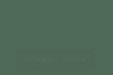 Can you guess the <a href="/SherwinWilliams/">Sherwin-Williams</a> color of the year 2020? Naval or Kale Green?