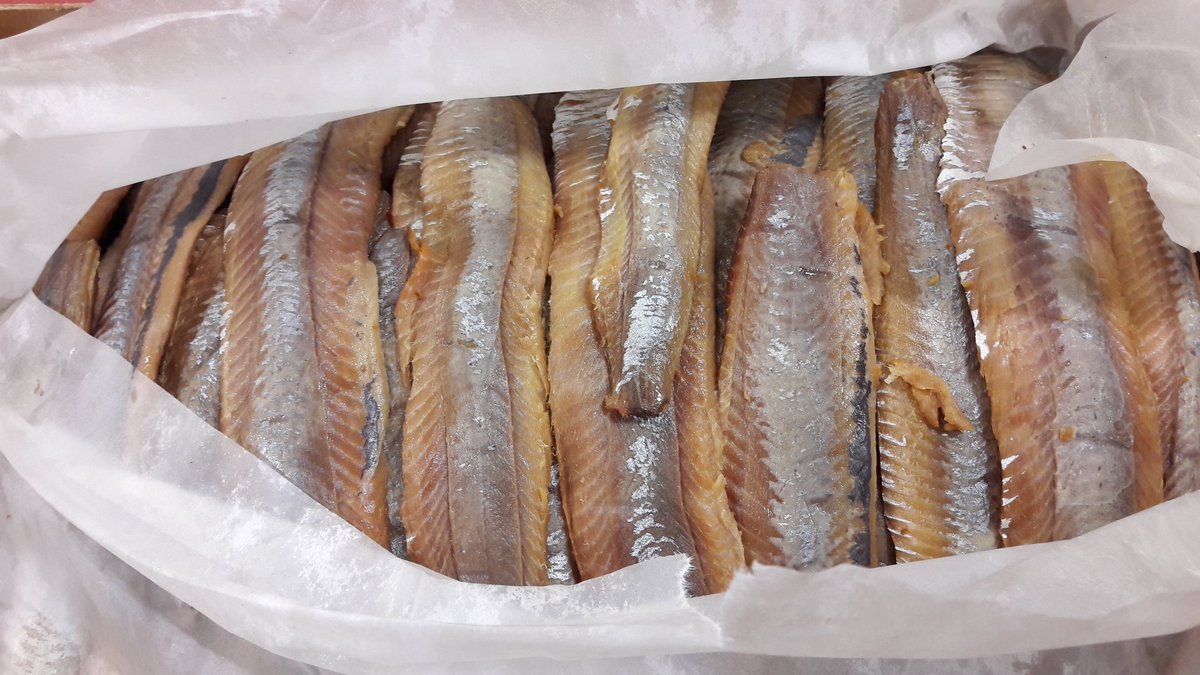 NVWA_Import's tweet photo. #importkeuring #gezouten en gerookte #haring. Het product is gekoeld tot een #temperatuur welke die van smeltend ijs benadert. Gemeten temperatuur tussen 0 en 4 graden ➡️ #koelketen oké 👌 https://t.co/XlPWR7ykds