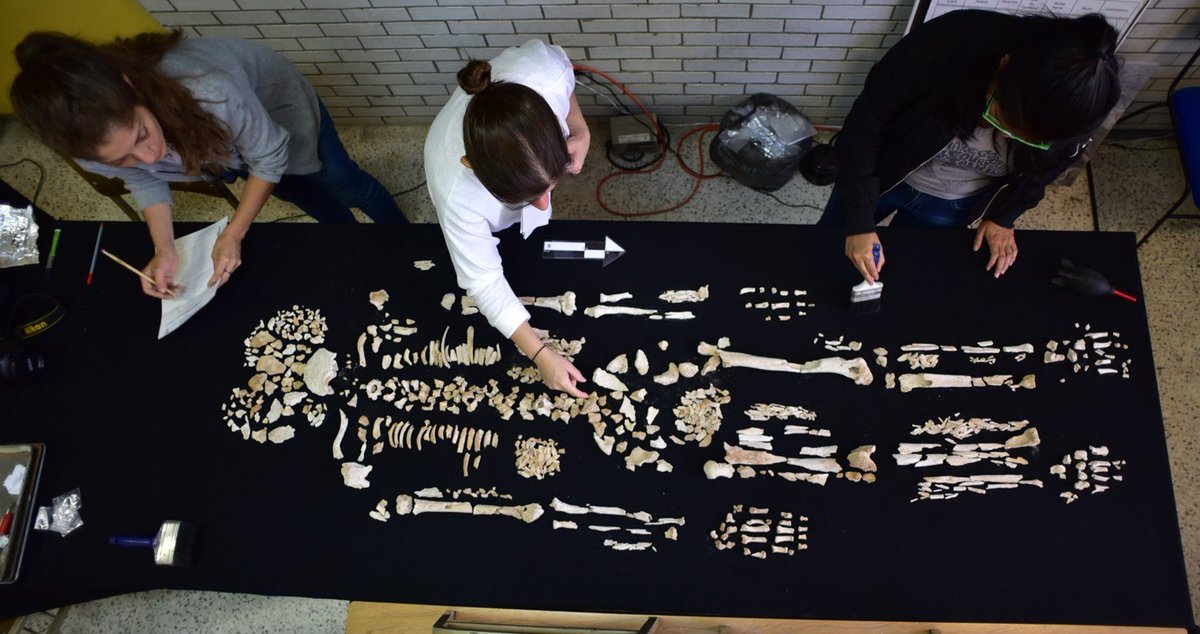IFRArchaeology's tweet photo. Meet our board member Dr. Jessica Cerezo-Román, #bioarchaeologist & #forensicanthropologist @OUAnthropology. She specializes in ancient cremated remains & is currently working at sites in Campeche, Mexico & Zita, Tunisia. @OUArtsSciences #humanremains #bones https://t.co/t7QVF2zLzV