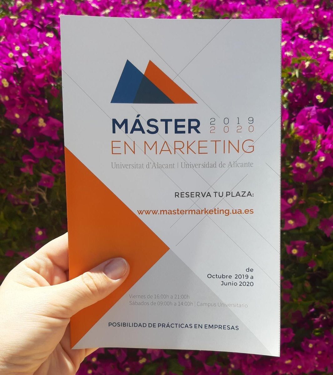 Máster en Marketing UA tweet media