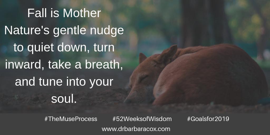 DrBarbaraCox's tweet photo. 52 Weeks of Wisdom - Week 41
⠀
#52WeeksofWisdom #Goalsfor2019 #TheMuseProcess #sandiego #sandiegoliving #sandiegoinspiration #womeninbusiness #sandiegobusiness #inspirationalleadership #womeninleadership #leaders #intuition #businessintuition #motivation #businessmeditation https://t.co/VB384tOJ0A