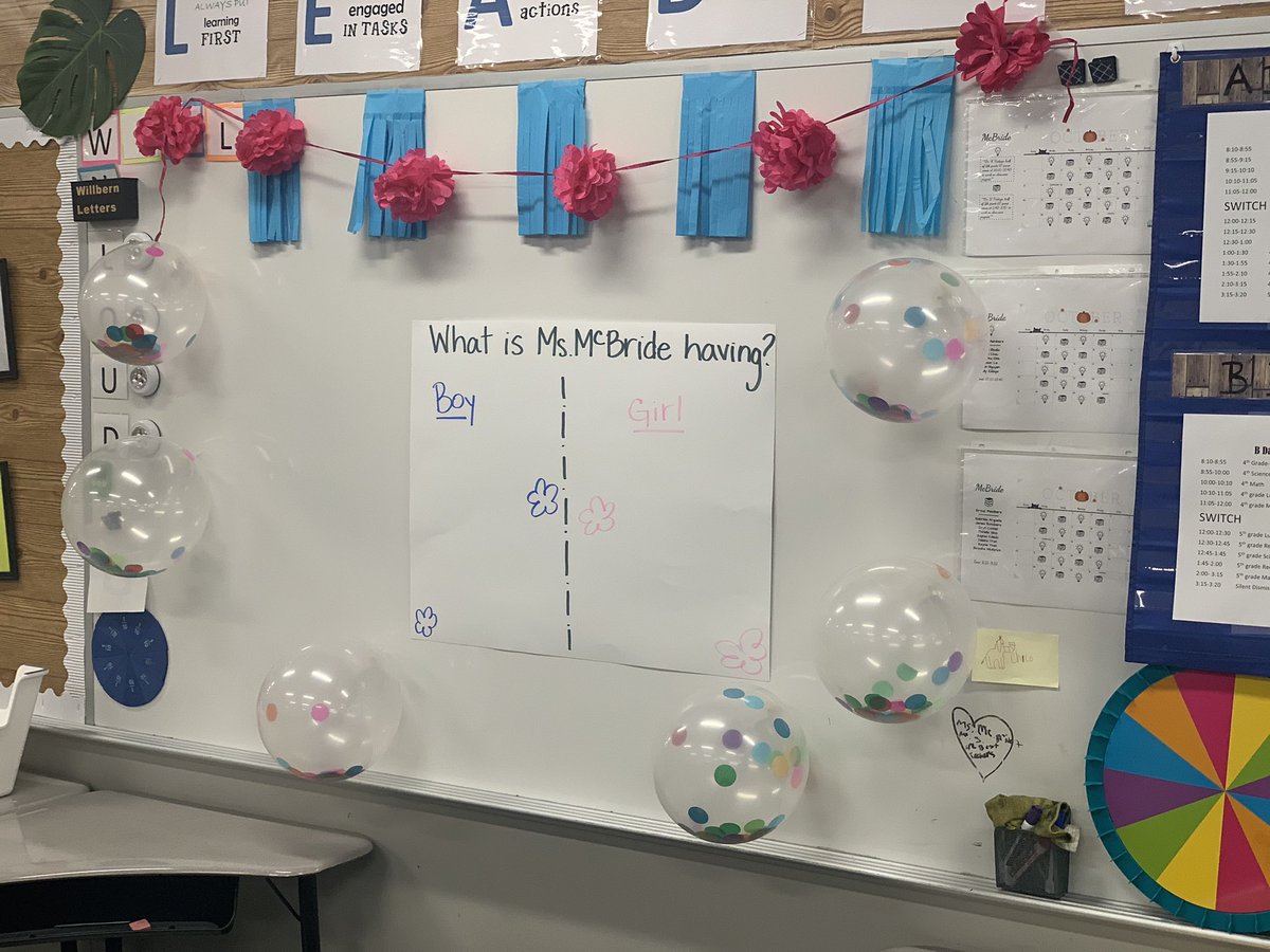 McBride's Classroom tweet media