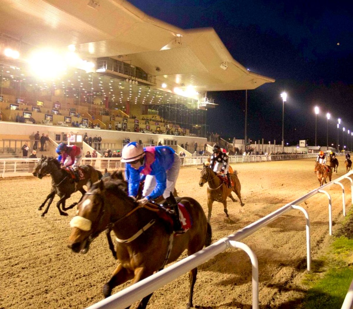 KING OF CHELTENHAM tweet media