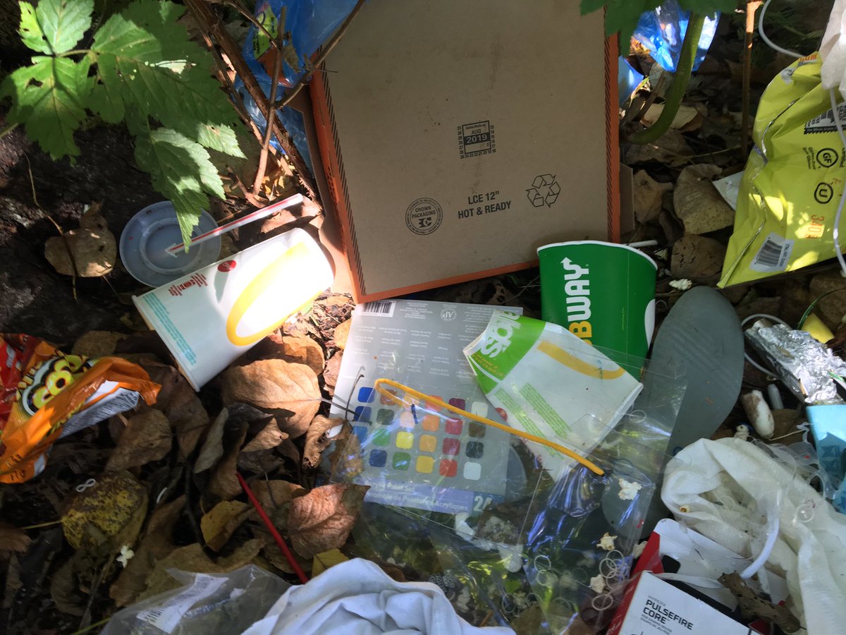 Anyone recognize the contents of their friends car??
They forgot it in MitchellTrail at Harris Road. #RainbowLoom should be a giveaway clue. #PittMeadows