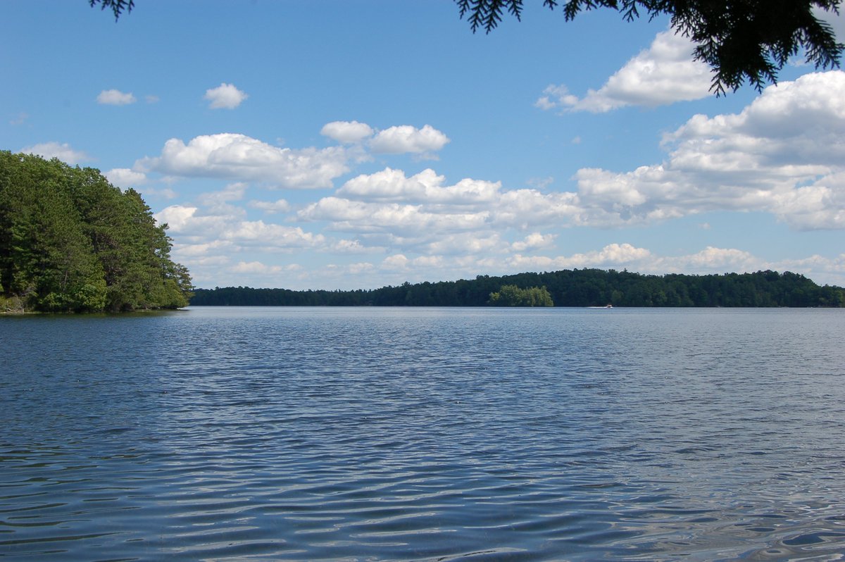 CataraquiCA's tweet photo. The CRCA has created Lake Assessment Reports for 45 lakes in the region These fact sheets provide maps, note the physical features, assess water quality, identify the invasive species and outline aquatic diversity. https://t.co/aI8SO1p8rZ #WeAreConservation https://t.co/cTFYxX6wxr