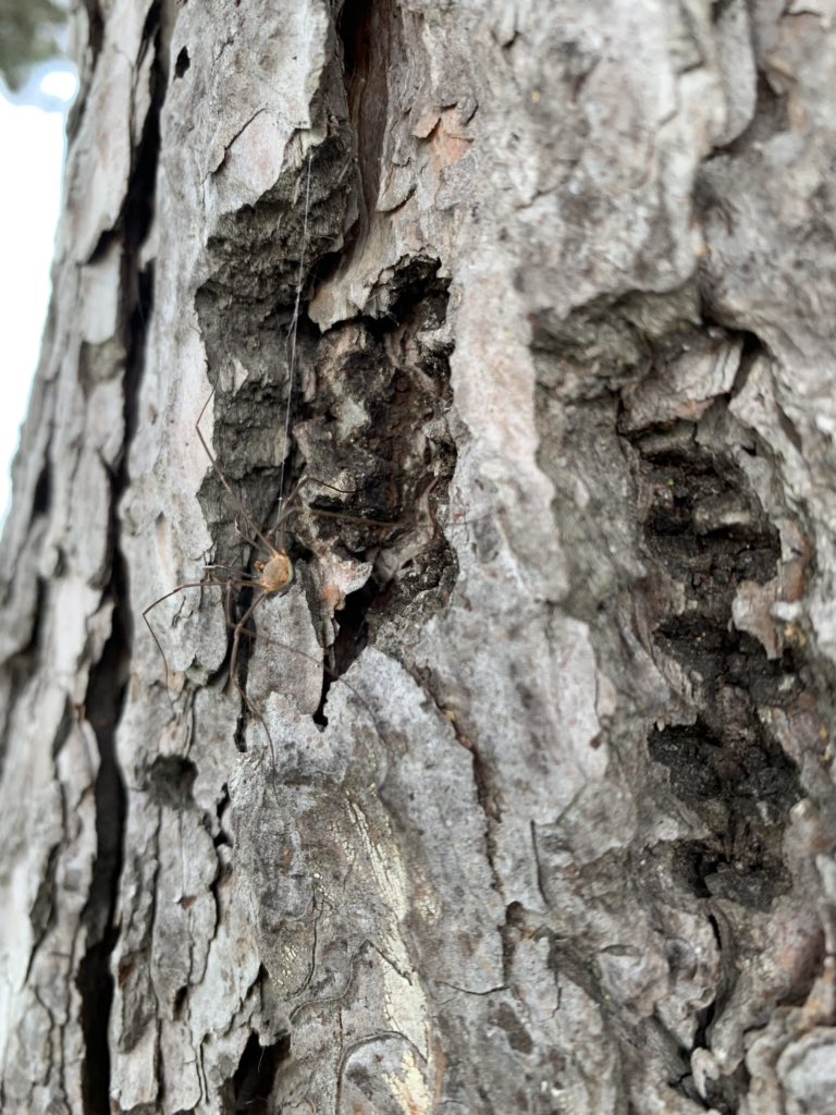 Mrs. Farnan (O’Connell)☘️ tweet media