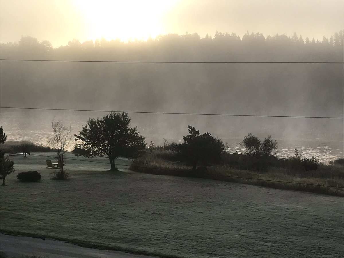 Cache172's tweet image. There are 2 moose in the first picture. Hard to see but they’re there! #moose #frostymorn #fall #sunrise #foggy