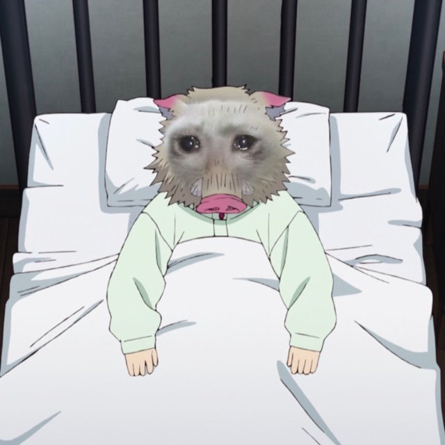 ﹔ ‍ ＃嘴平 伊之助 ˎˊ˗ (@boisterousboar) on Twitter photo 