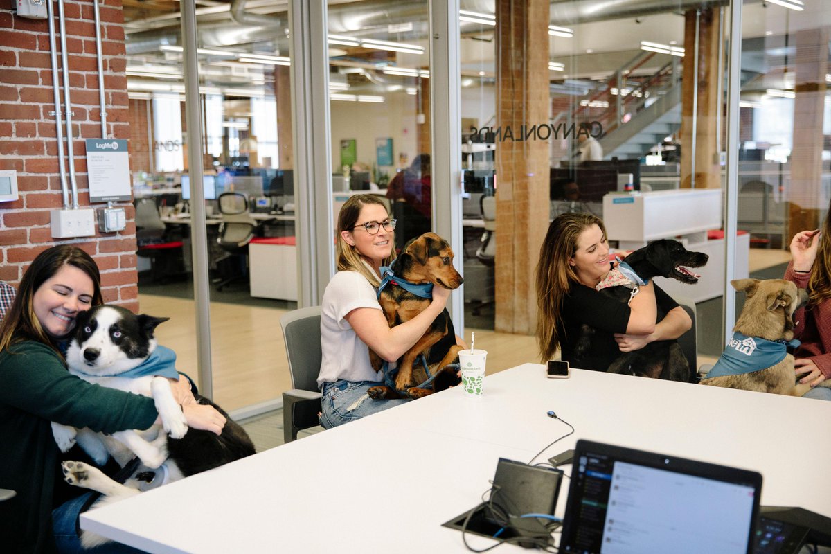 LogMeIn's tweet photo. Labs, doodles, bulldogs, mutts and more 🐶, all had a #DogMeIn pawty at our corporate HQ in #Boston. Must be ruff living that #LogMeInLife #TBT https://t.co/DzZgePdiM6