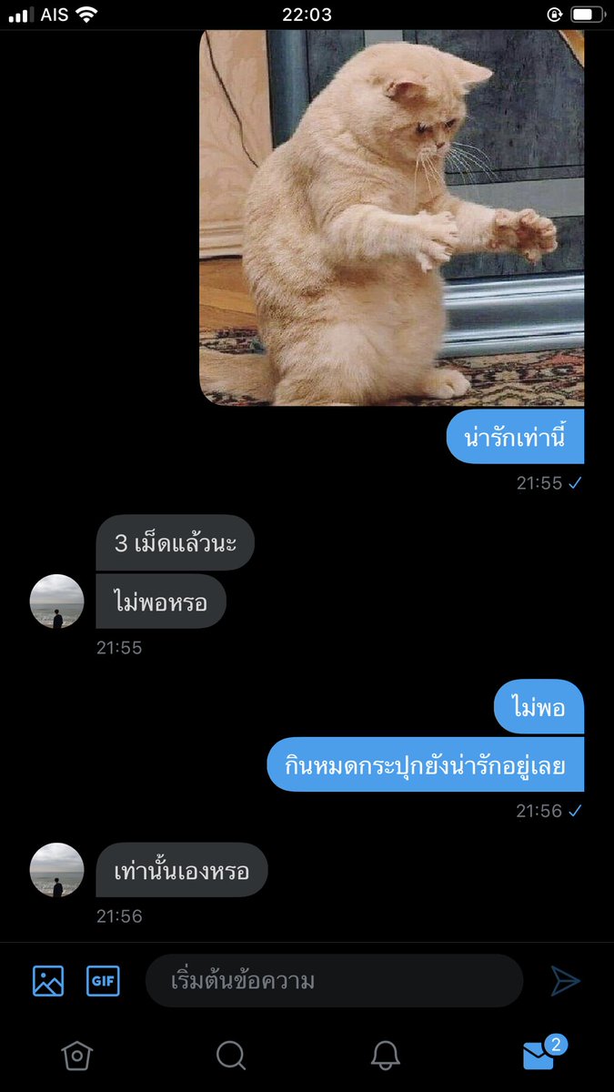 แมวจะมาขิงแฟนน tweet media