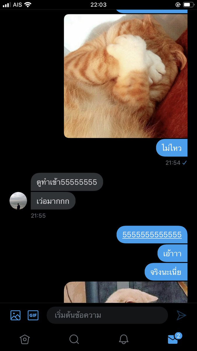 แมวจะมาขิงแฟนน tweet media