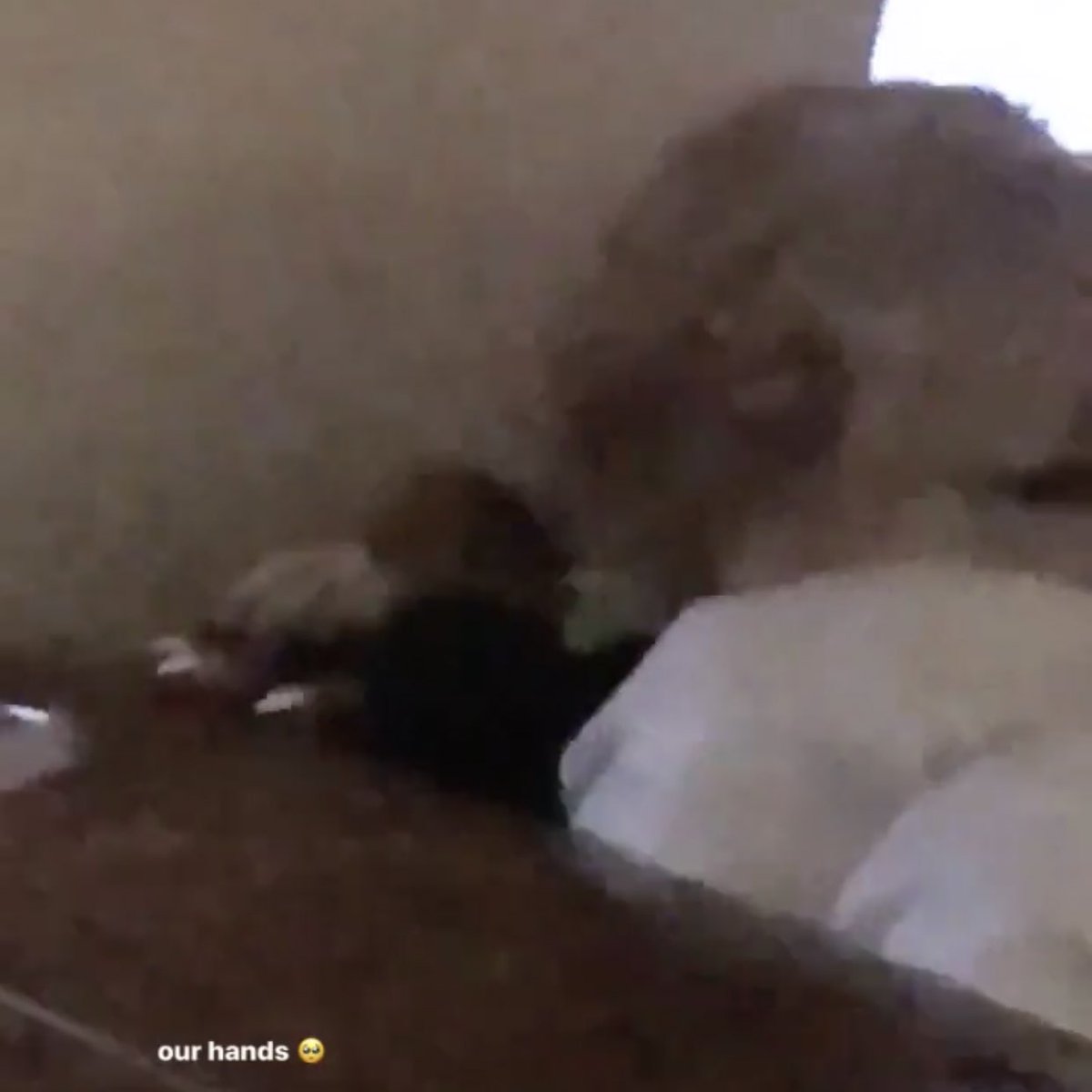 gngIoved's tweet photo. this is the purest thing i’ve seen all day :,) @ArianaGrande https://t.co/ayC8Xa5BzK