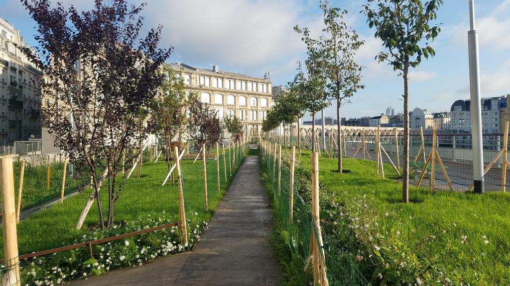 A lush new park just opened near our apartment, and I'm making it a personal goal to walk through its greenery at least 1x/week. Already brought coffee there one Saturday, and today strolled thru before work. Game. Changer. 😍🌿🌳🌸 #greenercities #freshair #parisjetaime