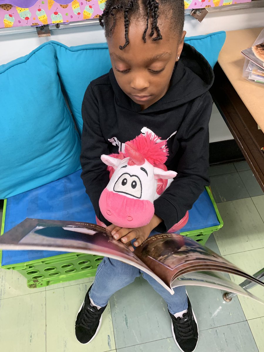 PicconeDanielle's tweet image. Our class loved reading to a stuffed animal buddy today🧸. Thank you @JulieParsons203! @WestRidgeGreece @ShannonCHeller @GCSDsuper @PettiferSuz