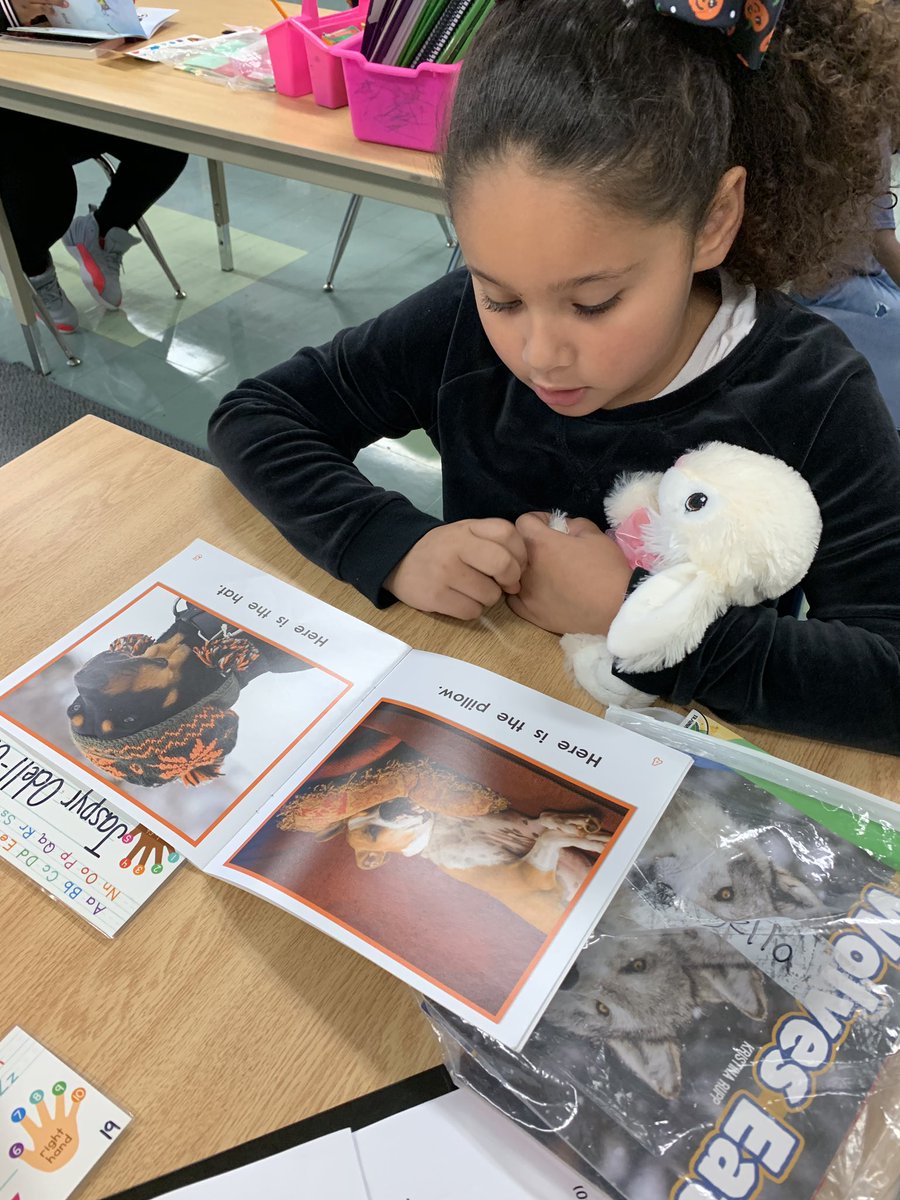 PicconeDanielle's tweet image. Our class loved reading to a stuffed animal buddy today🧸. Thank you @JulieParsons203! @WestRidgeGreece @ShannonCHeller @GCSDsuper @PettiferSuz