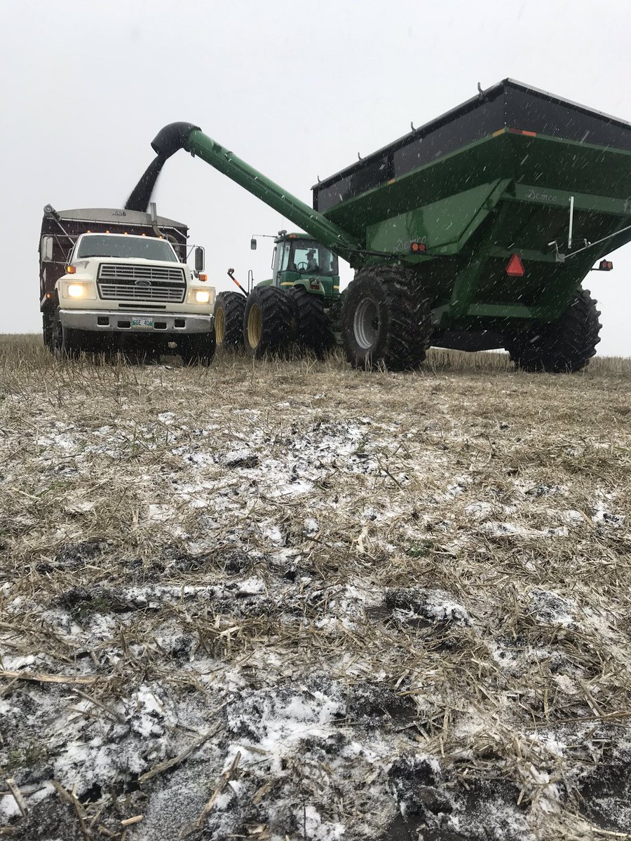 KnightSeeds's tweet image. Testing just under 11. About 25 hours left of combining and 24 until the snow comes. #harvest19 #itllbeclose