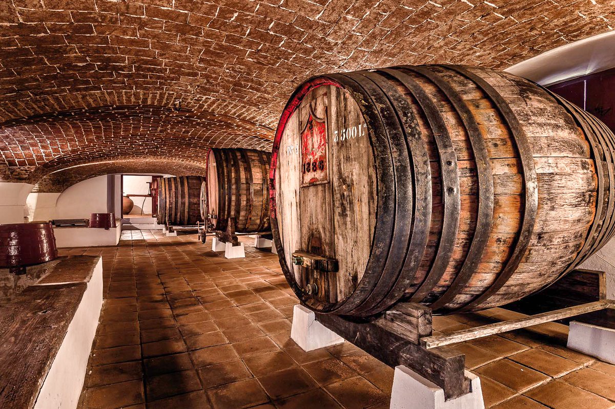 winesofalentejo's tweet photo. Here in Alentejo, the final stage of winemaking includes aging the wine in oak barrels or stainless steel tanks. 

#alentejo #alentejoportugal #portugal #winesofalentejo #alentejowine #portuguesewine #viticulture #winemaking https://t.co/teEXhQ3Dng