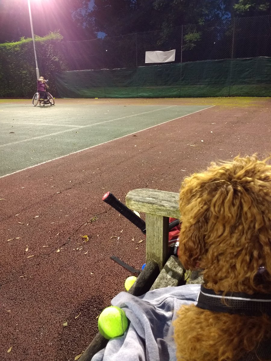 tennisMarthaH's tweet photo. #wheelchairtennis training @loughboroughltc under the floodlights this evening.
#traininghard #commitment #attackingplay
@WChairTennisGB @TheJBTrust @Vobrotary https://t.co/6de0q0nK2d
