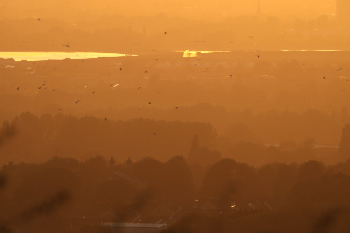 mikesaltsman194's tweet photo. hate this weather so i will leave u with #Tameside #Weather #sunsets #birds #benbotrekker #benbotripod @Benbo_UK @raridaja @philstanley504 @PatersonPhoto @CanonEMEApro @CanonUKandIE #telephoto #lserieslens https://t.co/6jzQlKJJVu