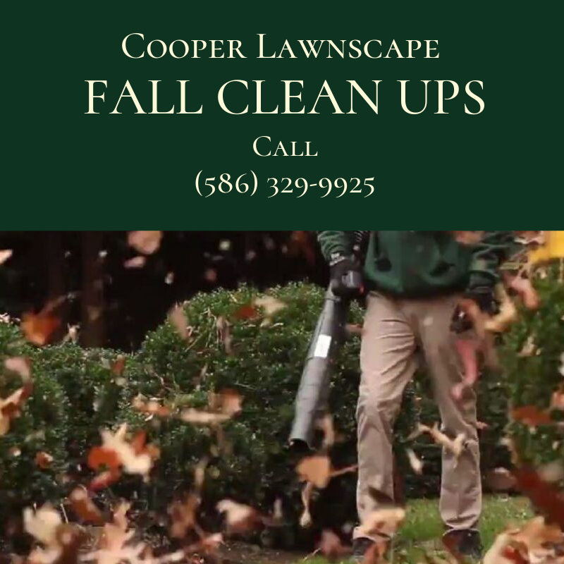 CooperLawnscape's tweet photo. Don't let your commercial or residential property go into the Fall and Winter unprepared. Give us a call for your free consultation for Fall cleanups.
#beginingoffall #fallcleanups #fall #winter #landscaping #landscape #landscapedesign #lawncare #lawn #lawnmaintenance https://t.co/Z4i8QBGwAs
