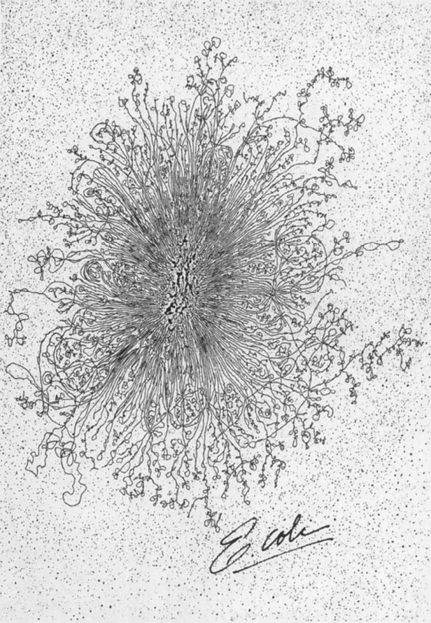 Communicating science can take many forms! Dr. Lovett and PhD student <a href="/Thalia_MCB/">Thalia</a> participated in a "Rock Art" event hosted by #createatbrandeis. The EM of the E. coli genome (R. Kavanoff) is depicted with pink mutations and blue response proteins