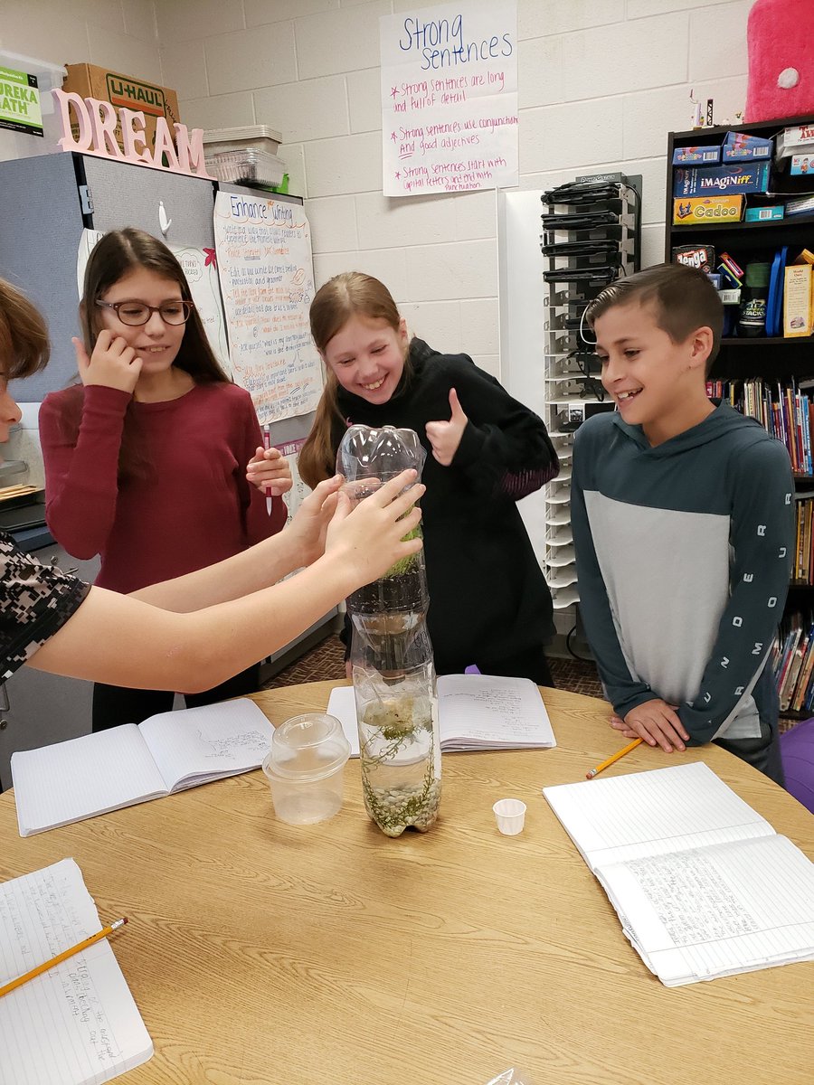 Rebecca Gallico tweet media