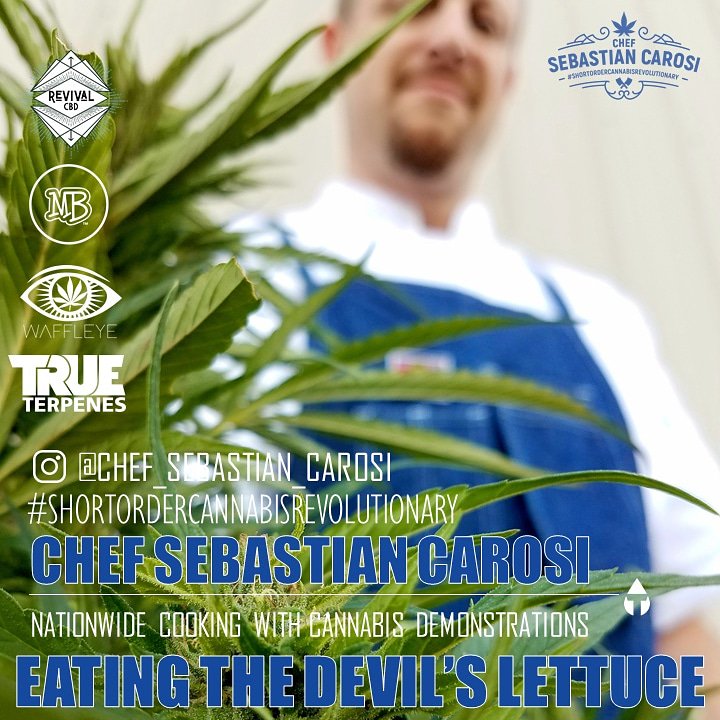 ashmeads_kernel's tweet image. 