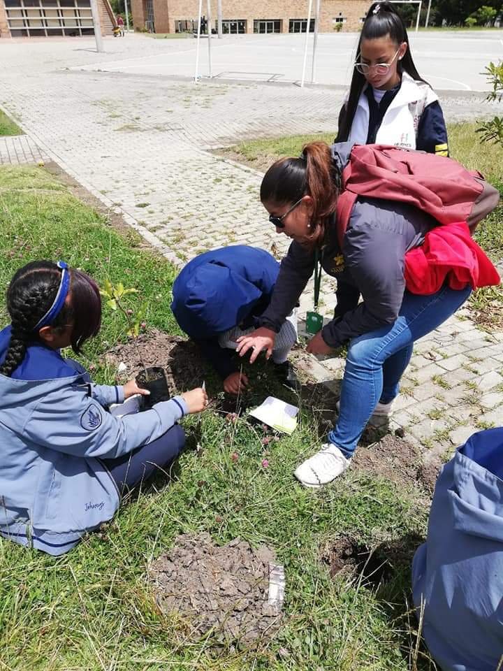 Estudiantes del grado noveno del Institución Educativa Técnico Comercial, sembraron 37 árboles de la especie jazmín en el proyecto social Hermes "Sembrando Buen Trato", que apoya nuestra Secretaría de Ambiente, en asocio con las instituciones educativas del municipio.