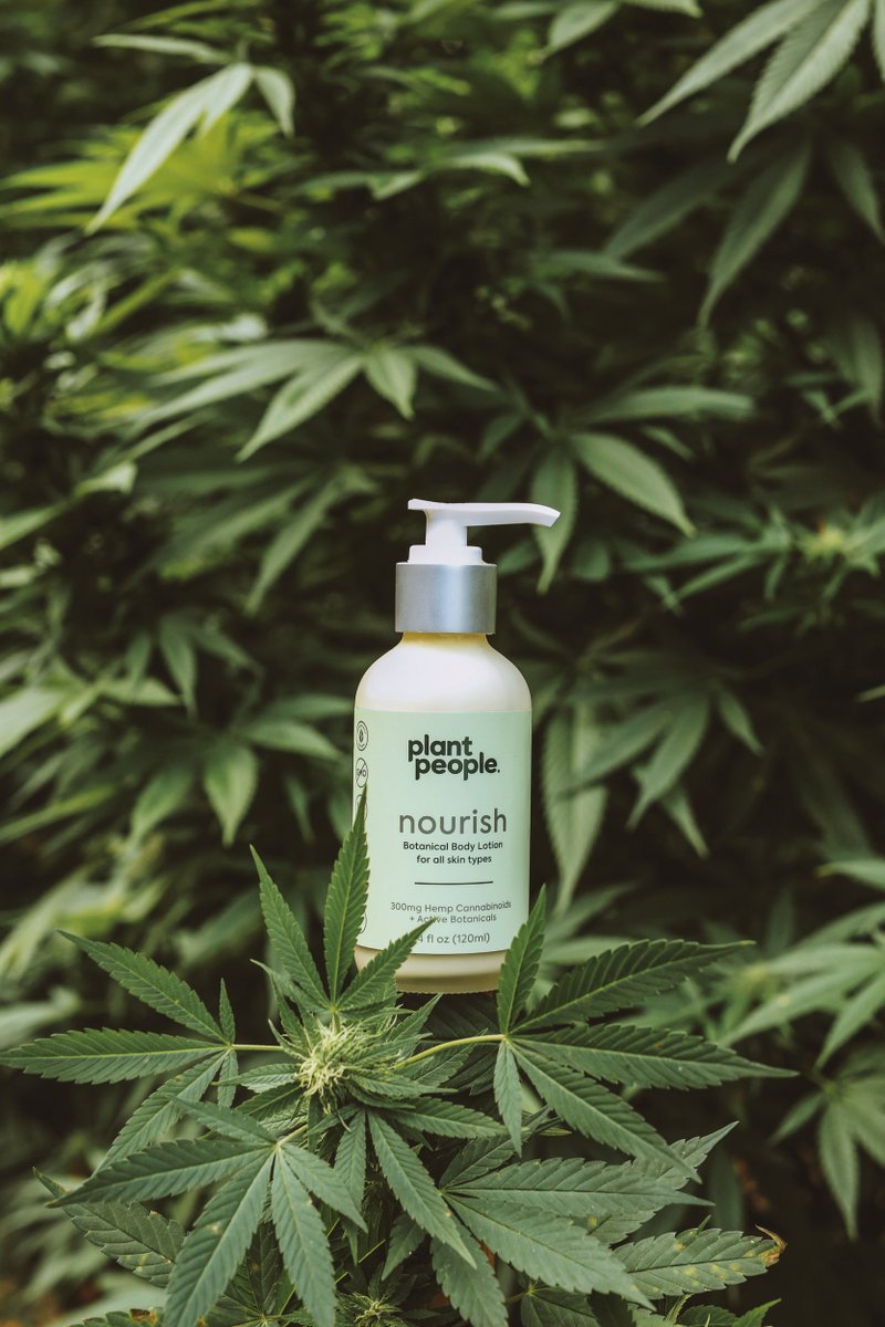 plantpeople's tweet photo. Introducing ✨ #plantpeople skincare ✨ A botanical serum, lotion and face mask rich in hemp cannabinoids (including CBC, which is a powerful anti-inflammatory) and innovative botanicals, such as Songyi Mushroom, Wakame, and Olive Squalane. 🌿#plantspowerpeople https://t.co/6q9AzPcQ8v