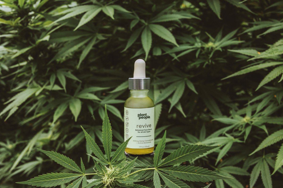 plantpeople's tweet photo. Introducing ✨ #plantpeople skincare ✨ A botanical serum, lotion and face mask rich in hemp cannabinoids (including CBC, which is a powerful anti-inflammatory) and innovative botanicals, such as Songyi Mushroom, Wakame, and Olive Squalane. 🌿#plantspowerpeople https://t.co/6q9AzPcQ8v
