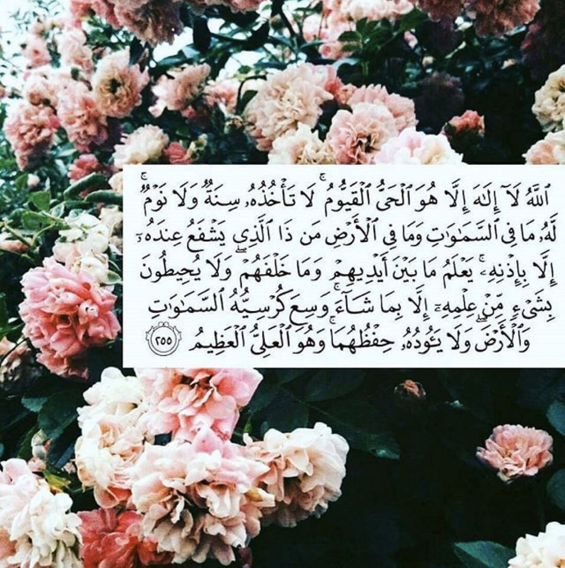 SAMI_OT1's tweet photo. آية الكرسي https://t.co/P55iuPVwLt