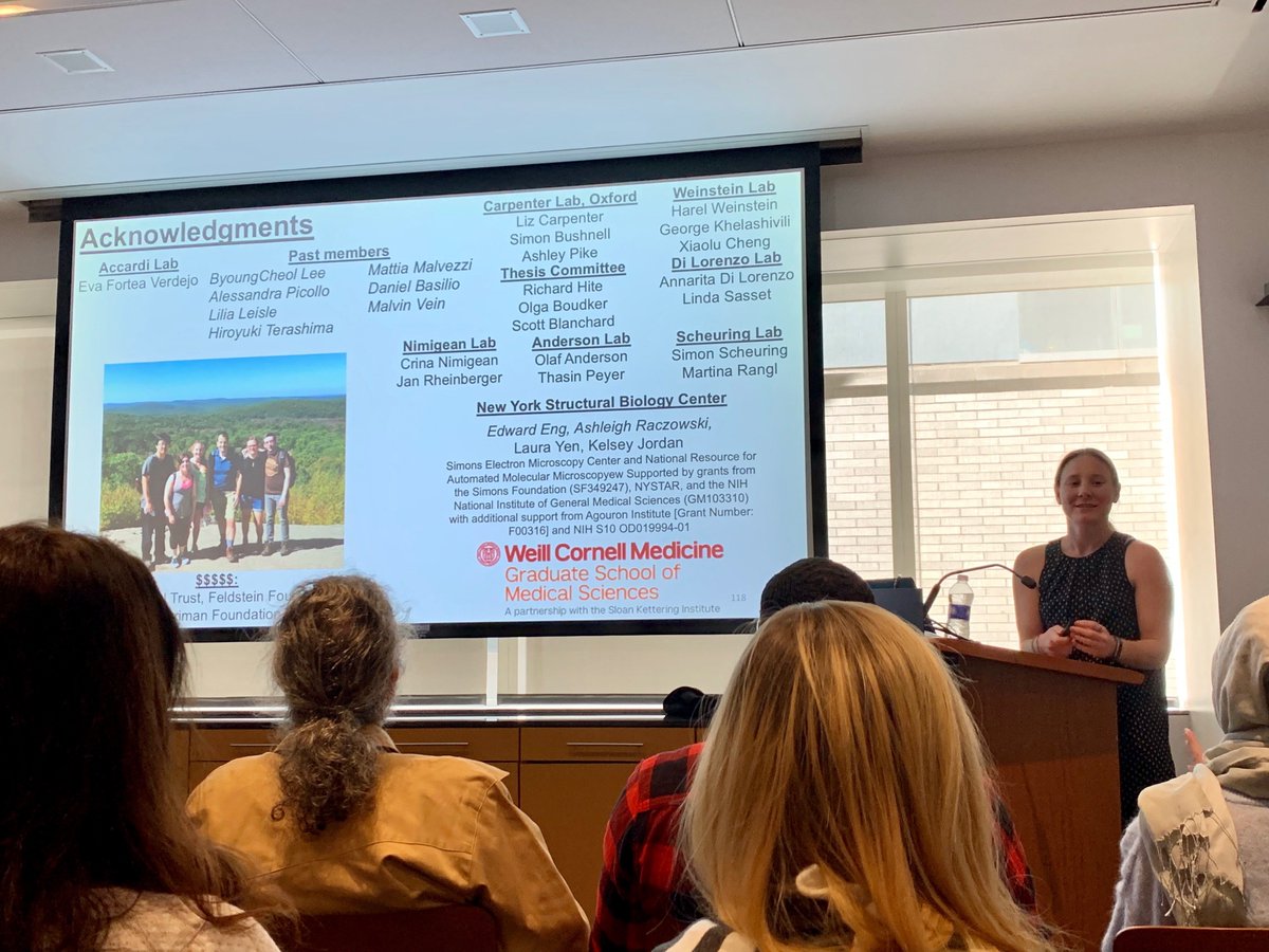 accardilab tweet media