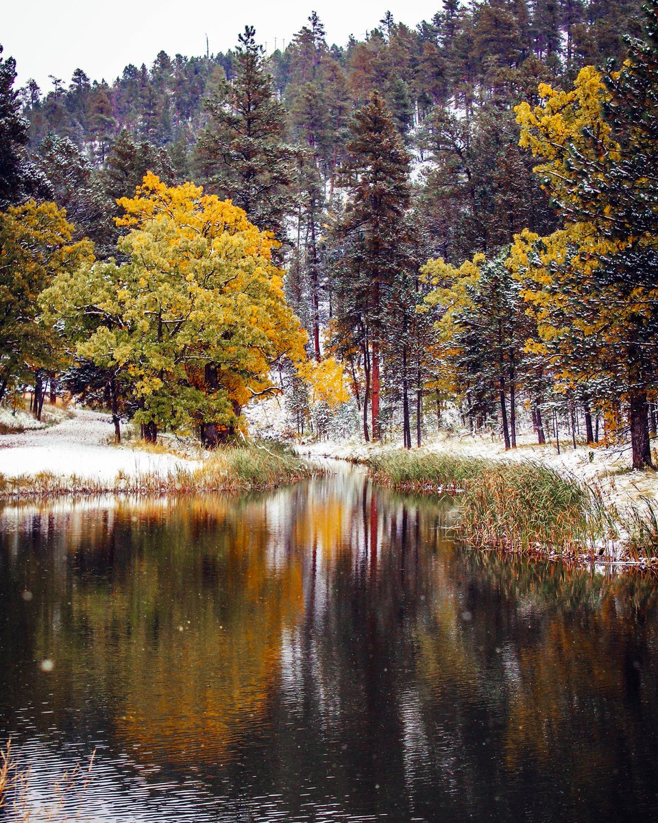 CusterStatePark's tweet image. Well...we made it 4 months and 19 days without snow in the park. 

#HiFromSD #SDInTheField #DiscoverBlackHills