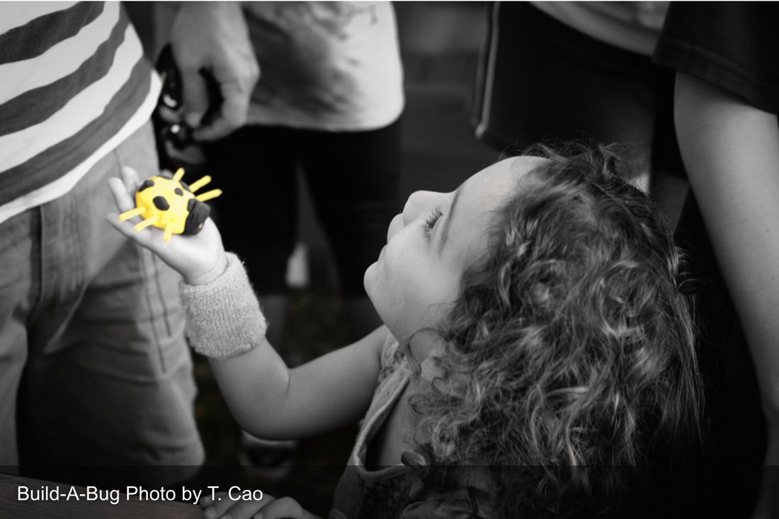 AZInsectFest's tweet photo. You’ve probably made sandcastles or towers before, but have you ever built a bug? Stop by our Build-a-Bug booth on October 20th & create your very own insect! Design & craft together a bug of your own…and show off your creation to your friends! #azinsectfest #tucsonlovesbugs https://t.co/XeMEEywN7H