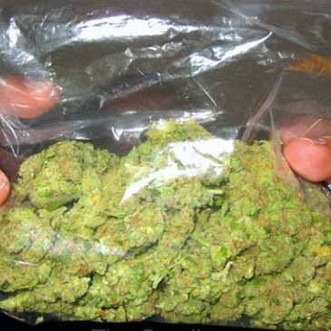 StarTexaco's tweet image. 