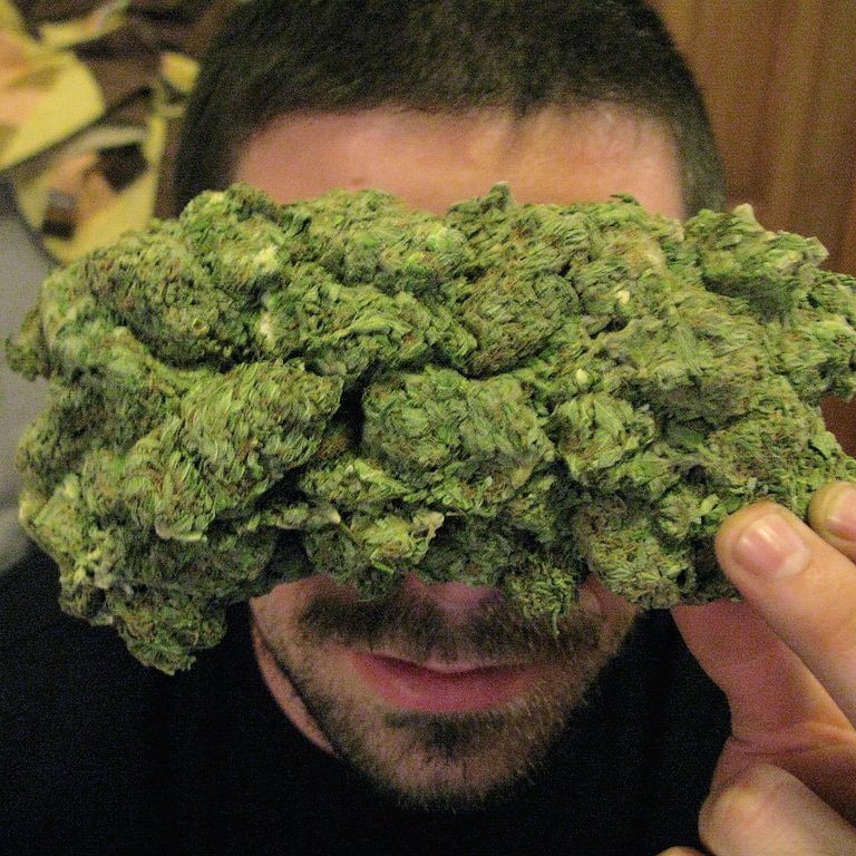 StarTexaco's tweet image. High Grade Medical Marijuana Sativa and Indica strains,Hybrid, Hash, (RSO), BHO, HEMP OILS, THC OILS, Cannabis Oil and Edibles FOR SALE . Mail Order Marijuana, Weed Brownies, Cannabis Seeds, Marijuana Seeds for Sale E.T.C if you are interested do get back to us with your order