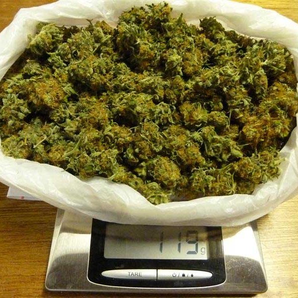 StarTexaco's tweet image. High Grade Medical Marijuana Sativa and Indica strains,Hybrid, Hash, (RSO), BHO, HEMP OILS, THC OILS, Cannabis Oil and Edibles FOR SALE . Mail Order Marijuana, Weed Brownies, Cannabis Seeds, Marijuana Seeds for Sale E.T.C if you are interested do get back to us with your order