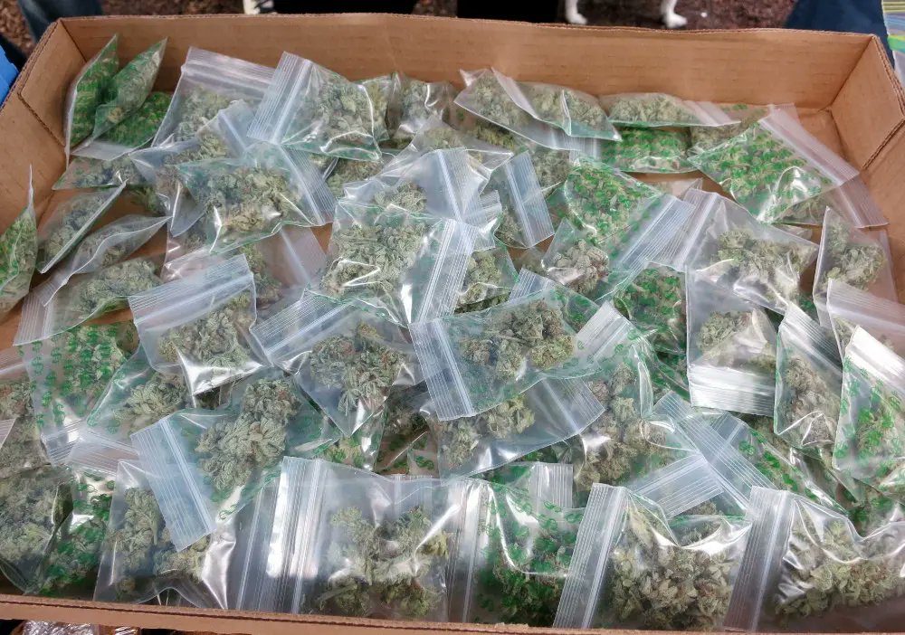 StarTexaco's tweet image. High Grade Medical Marijuana Sativa and Indica strains,Hybrid, Hash, (RSO), BHO, HEMP OILS, THC OILS, Cannabis Oil and Edibles FOR SALE . Mail Order Marijuana, Weed Brownies, Cannabis Seeds, Marijuana Seeds for Sale E.T.C if you are interested do get back to us with your order