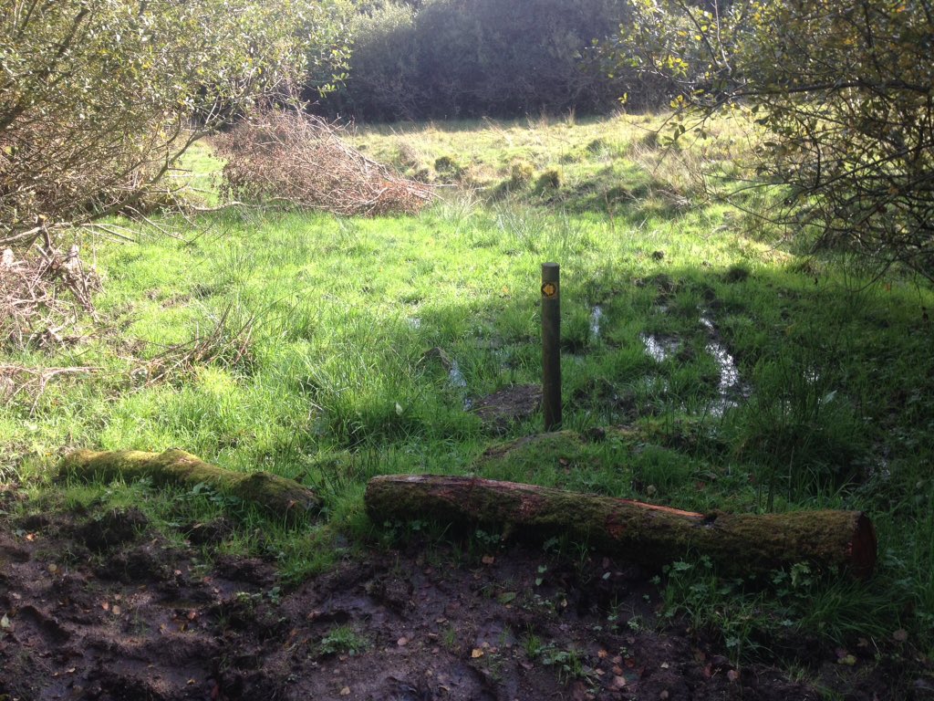 Barbaraswalking's tweet photo. Decided this morning to walk #Chagford to #Throwleigh and back (also DartmoorWay walking route. https://t.co/7sOJdFBvbm) Good to walk on footpath no. 9 between ancient oaks, and new, less boggy route in the meadow @DevonRamblers @dartmoornpa @RamblersGB https://t.co/kKjioMMyCE