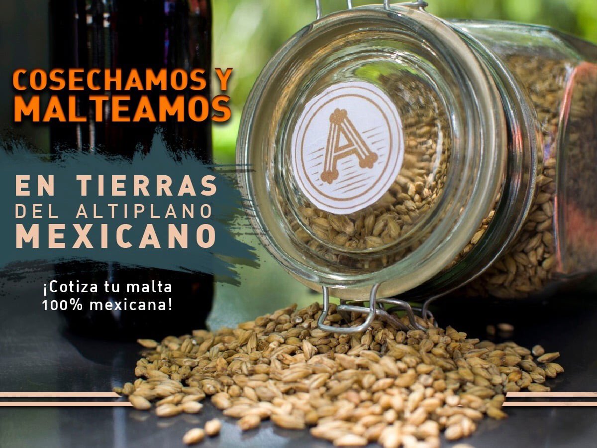 El malteo de nuestra cebada logra el color dorado y sabor a cereales. 
Llévatela a precio de tonelada a partir de 500Kg. 
Cotiza al 📞 244 445 54 29.
🚛 Realizamos envíos a toda la república. 
*Promoción del 9 al 31 de Octubre 
*Sólo maltas base. 
#CentralAltiplano #SomosMalta