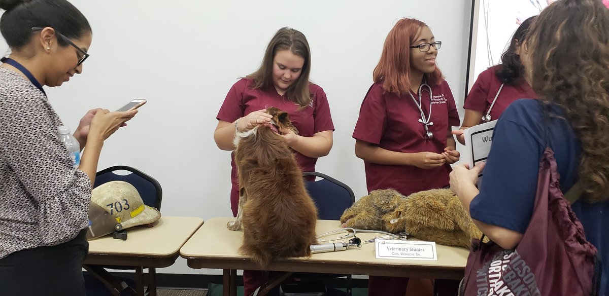 Simone Barnes tweet media