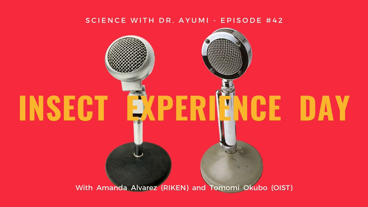 Ayumi Koso (@iyoumek) on Twitter photo Looking for a stimulating experience next weekend? Come and join the "Insect Experience Day" with <a href="/neuroamanda/">neuroamanda</a> <a href="/imomofolio/">tomomi.okubo</a> and <a href="/tk_szmb/">szm.b</a> 🐛🐝🦗🐞
A conversation w/ the organizers about what you can expect on 10/19 at Nishiogi Place
Listen here 🎧 voicy.jp/channel/836/57… Looking for a stimulating experience next weekend? Come and join the "Insect Experience Day" with <a href="/neuroamanda/">neuroamanda</a> <a href="/imomofolio/">tomomi.okubo</a> and <a href="/tk_szmb/">szm.b</a> 🐛🐝🦗🐞
A conversation w/ the organizers about what you can expect on 10/19 at Nishiogi Place
Listen here 🎧 voicy.jp/channel/836/57…