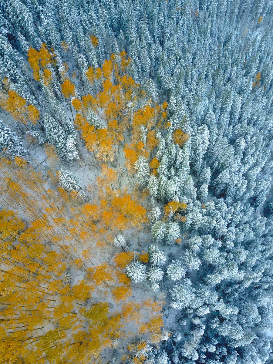 KylieBearseWX's tweet photo. When seasons collide 🍂❄️ Amazing picture @skitownallstars! #9wx #9news #cowx https://t.co/5KYBSkQ0S9